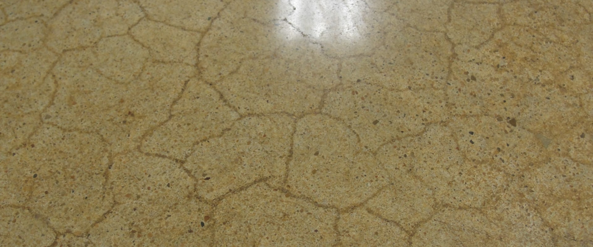Does Concrete Always Crack? An Expert's Guide to Common Cracks in Concrete