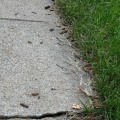 How to Prevent Concrete from Cracking: Expert Tips